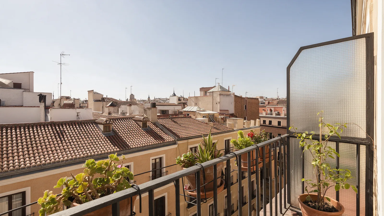 Vista amplia de tejados y fachadas de Madrid al mediodía desde un balcón con plantas en primer plano